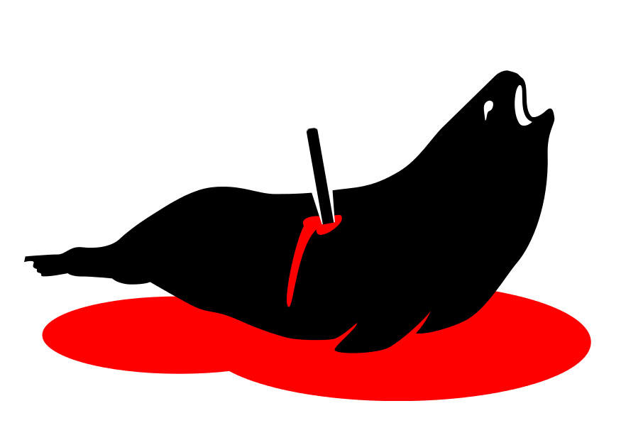 imagem pare com a caA§a A s focas 